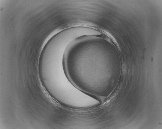 X0000084051138200703022208