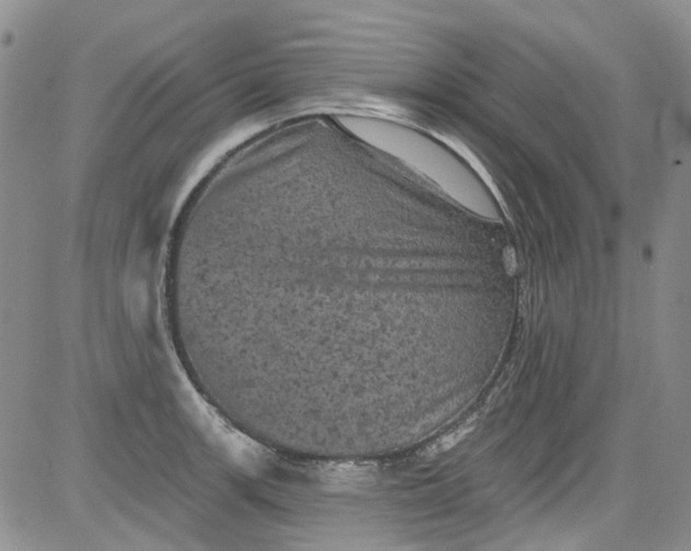 X0000084051139200703022208