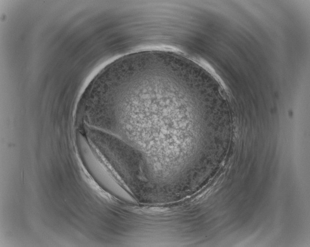 X0000084051140200703022208