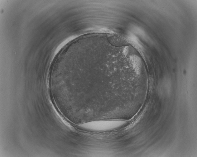 X0000084051141200703022208