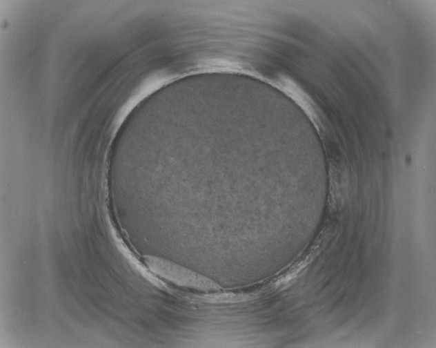 X0000084051142200703022208