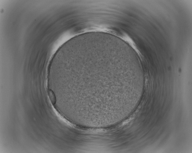 X0000084051143200703022208