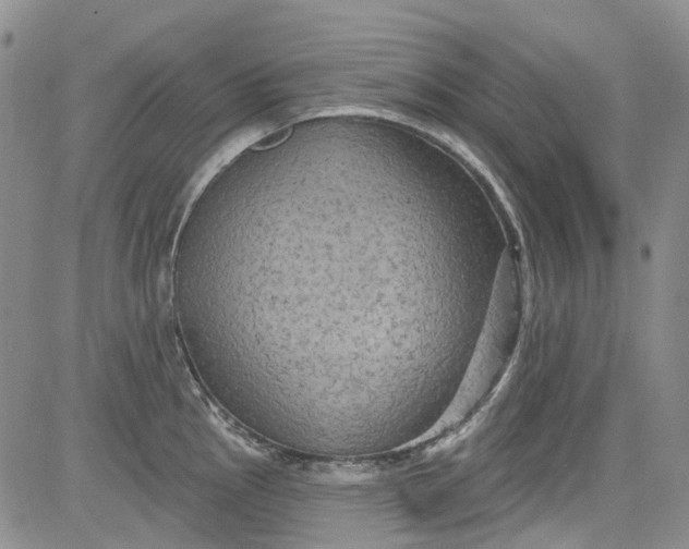 X0000084051145200703022208