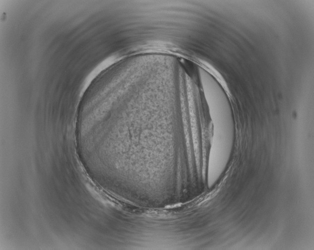 X0000084051146200703022208