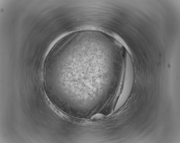 X0000084051148200703022208