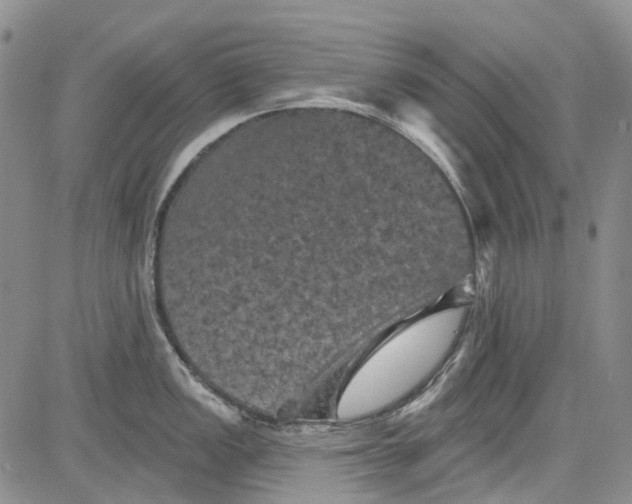 X0000084051149200703022208