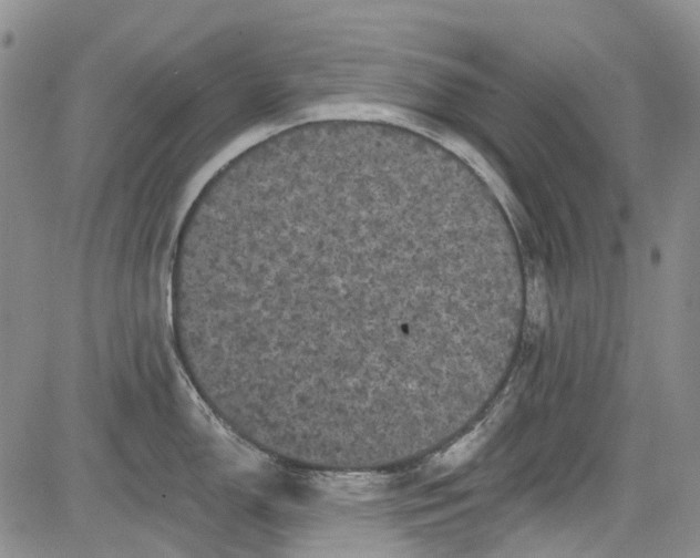 X0000084051150200703022208