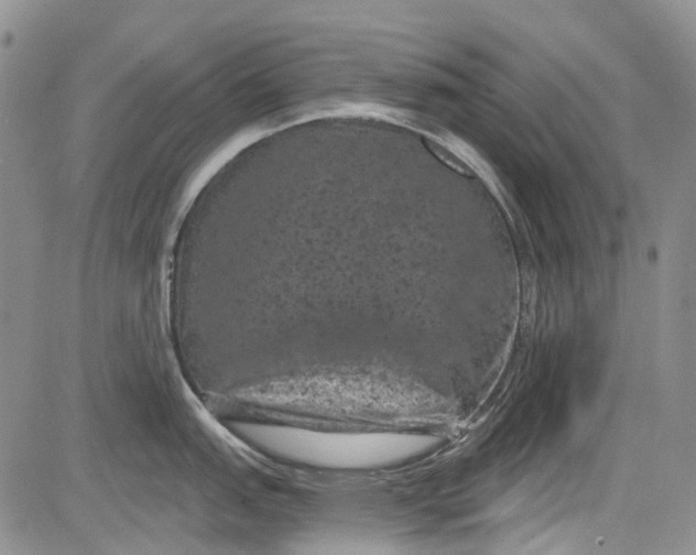 X0000084051151200703022208