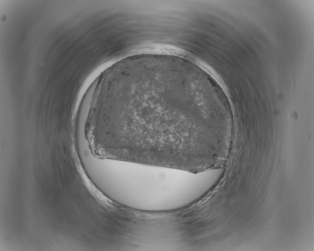 X0000084051152200703022208