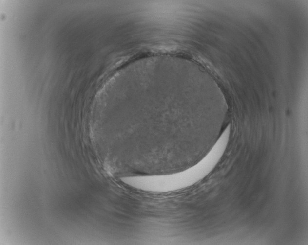 X0000084051153200703022207