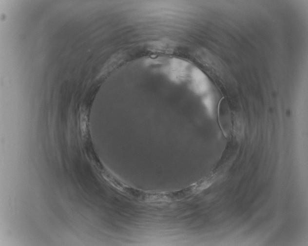 X0000084051154200703022207