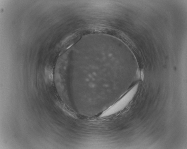 X0000084051155200703022207