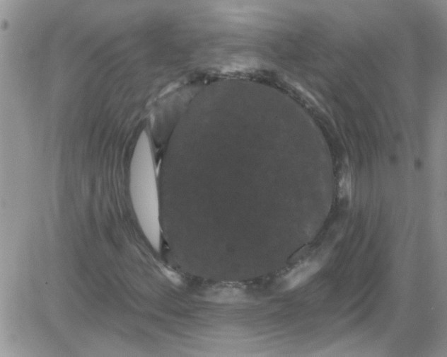 X0000084051156200703022207