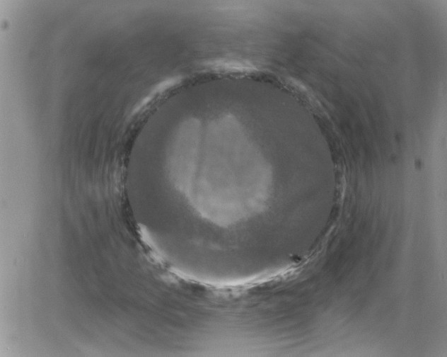 X0000084051157200703022207