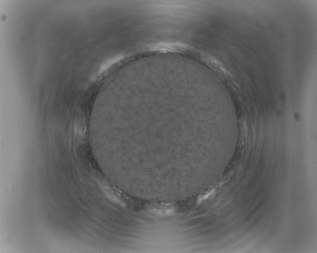 X0000084051158200703022207