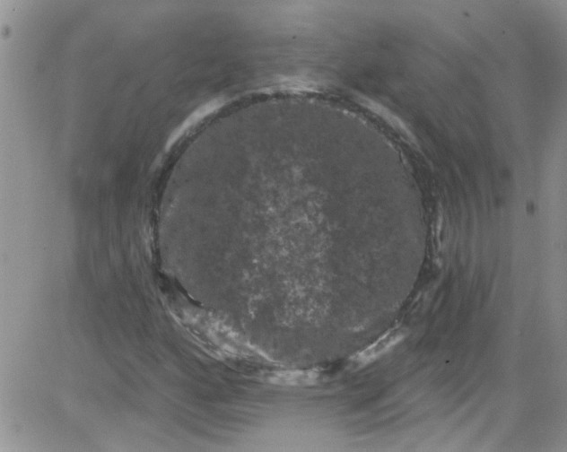 X0000084051160200703022207