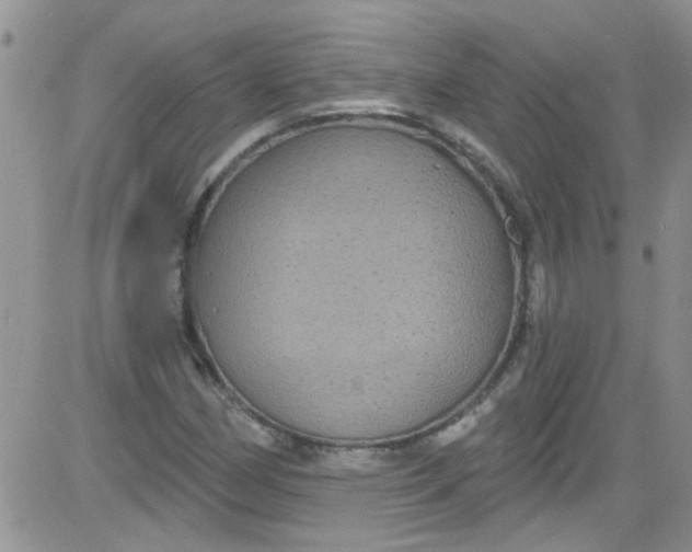 X0000084051162200703022207