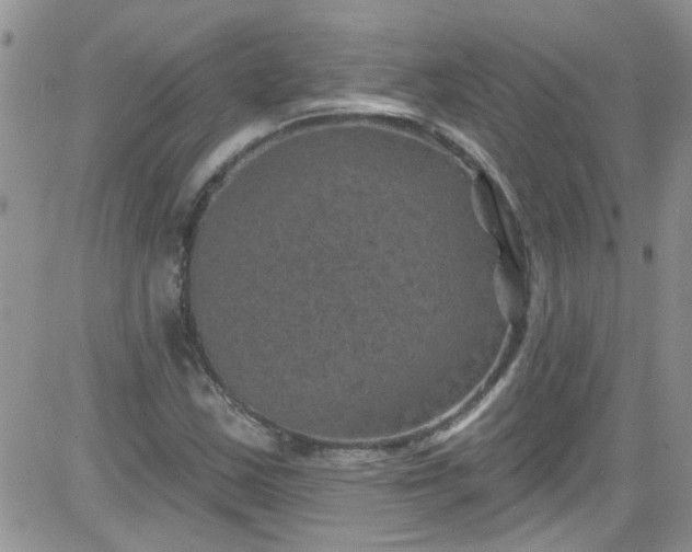 X0000084051163200703022207