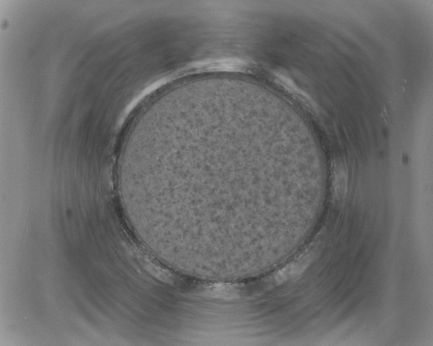 X0000084051166200703022207