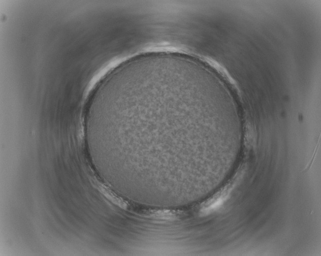 X0000084051167200703022207