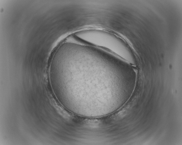 X0000084051168200703022207