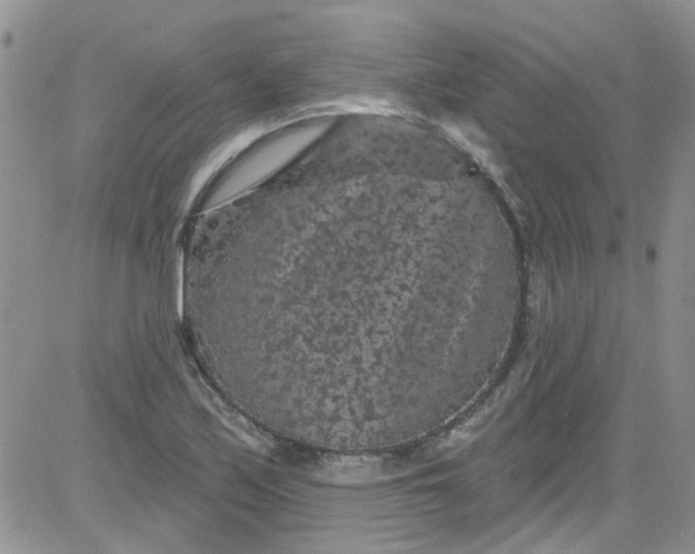 X0000084051171200703022207