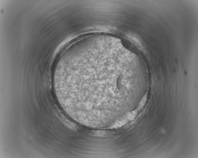 X0000084051172200703022207