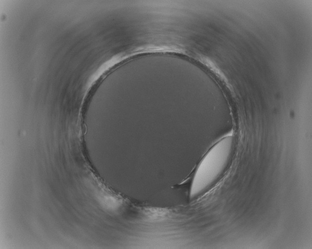 X0000084051173200703022207