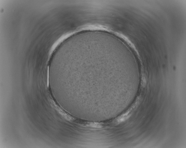 X0000084051175200703022207