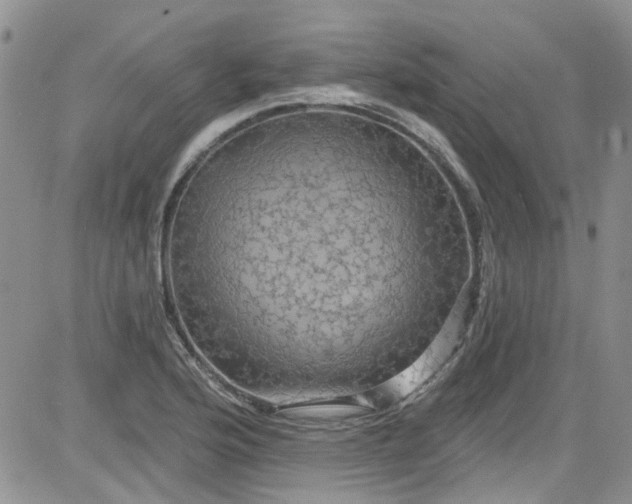 X0000084051176200703022207