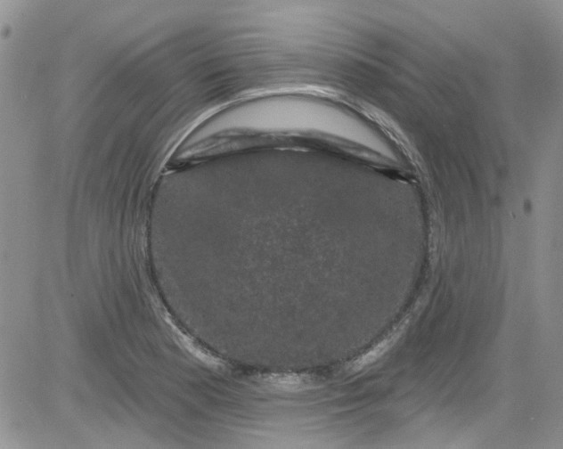 X0000084051177200703022207