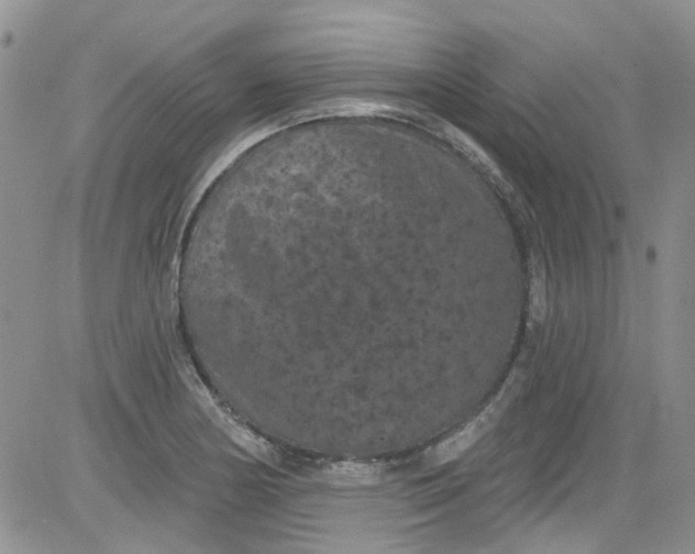 X0000084051178200703022207