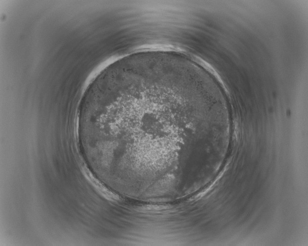 X0000084051179200703022207