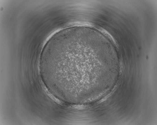 X0000084051182200703022207