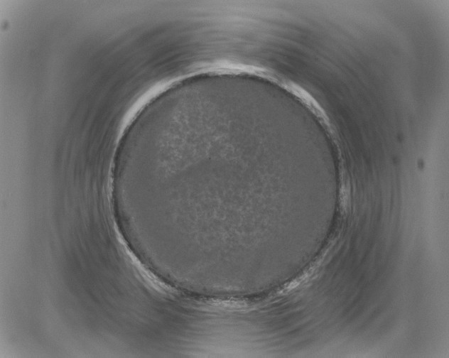 X0000084051183200703022207