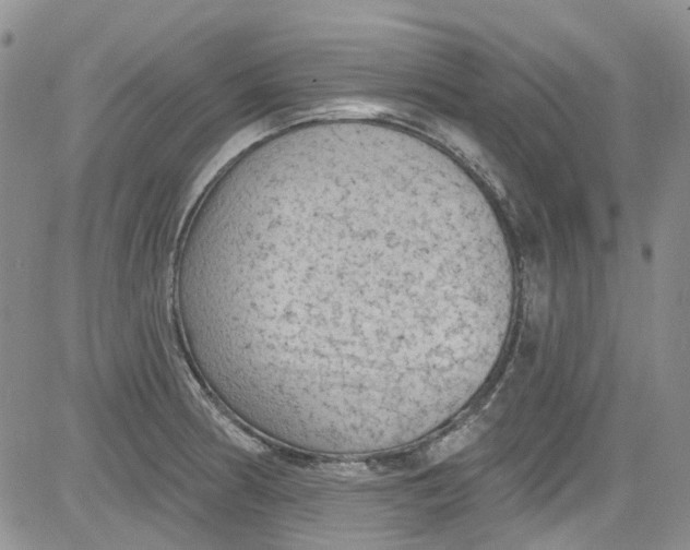 X0000084051186200703022207