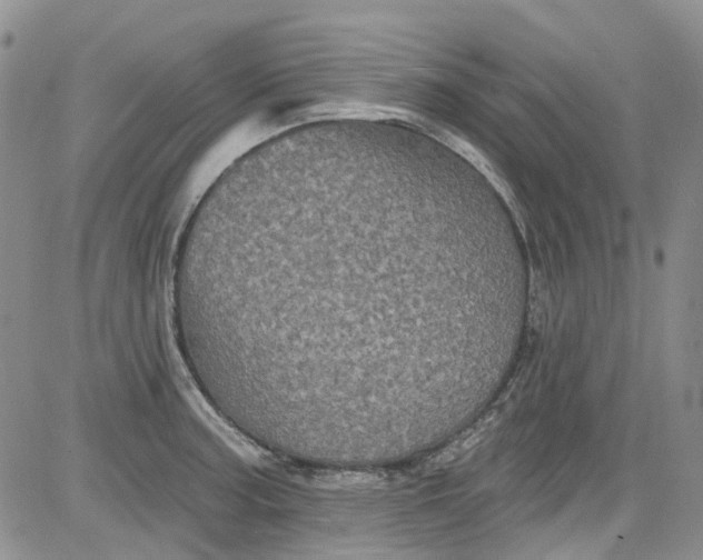 X0000084051187200703022207