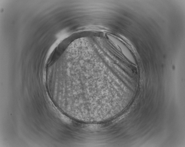 X0000084051188200703022207