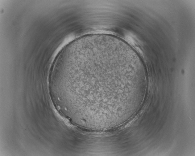 X0000084051189200703022207