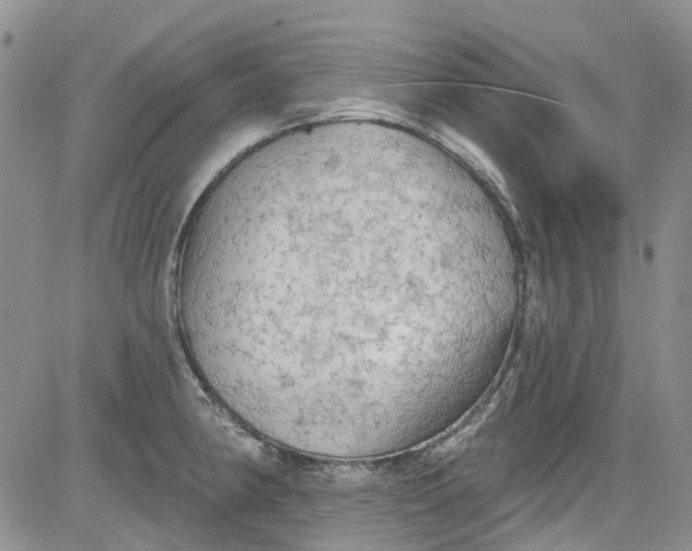 X0000084051190200703022207