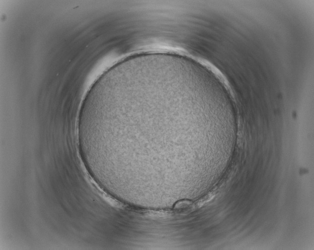 X0000084051191200703022207