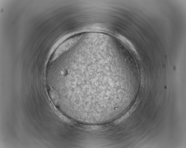 X0000084051192200703022207