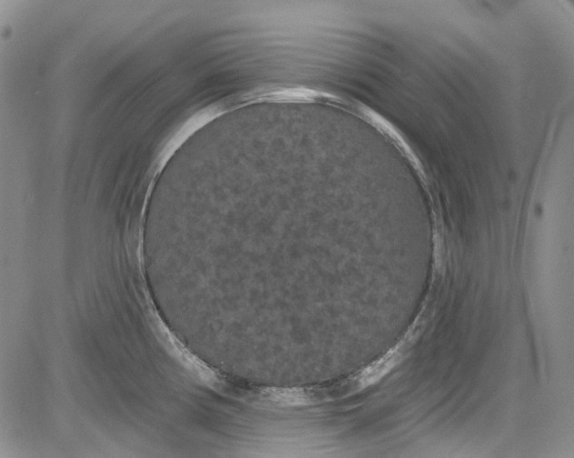 X0000084051194200703022207