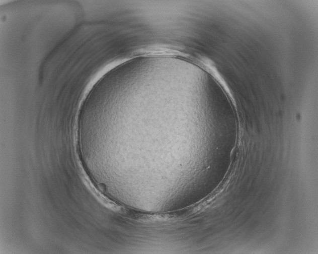 X0000084051195200703022207