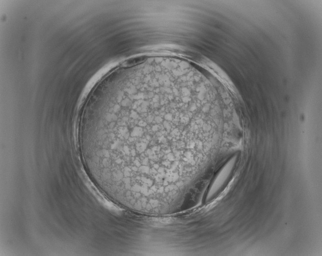 X0000084051196200703022207