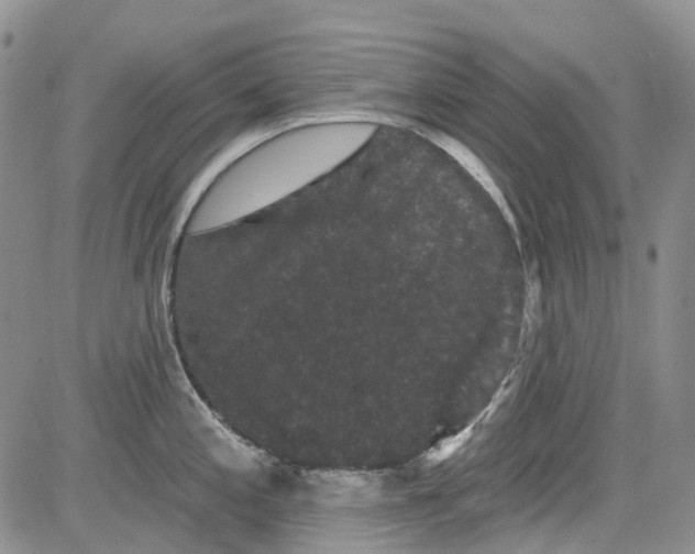 X0000084051197200703022207