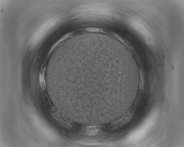 X0000084051198200703022207