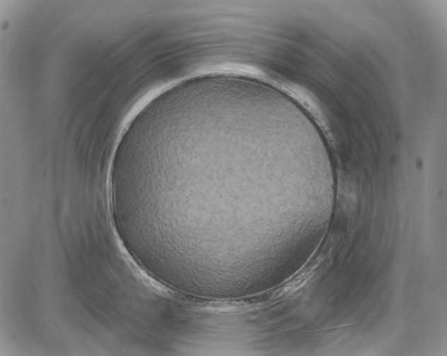 X0000084051199200703022207