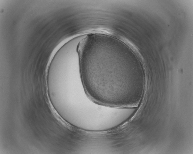 X0000084051200200703022206