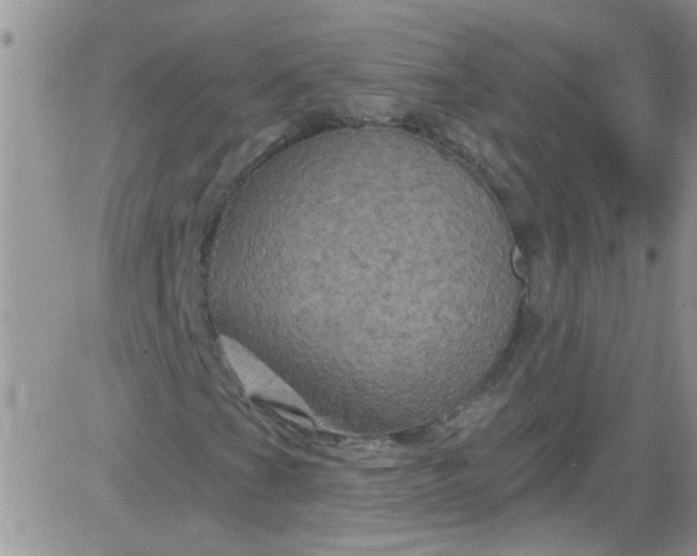 X0000084051201200703022206